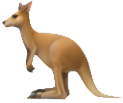 kangoro